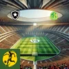 Botafogo x Mirassol 11-06-2025 dicas de apostas e análise